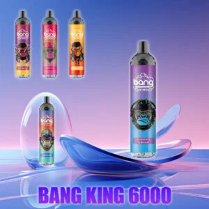 Bang King 6000 Puffs 0% 2% 3% 5% Pod monouso alla nicotina Vape all'ingrosso
