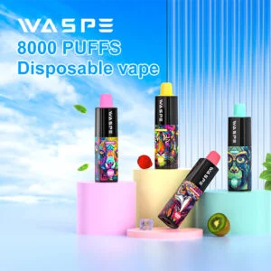 WASPE 8000 PUFFS 0% 2% 3% 5% Vape jetable à la nicotine en gros