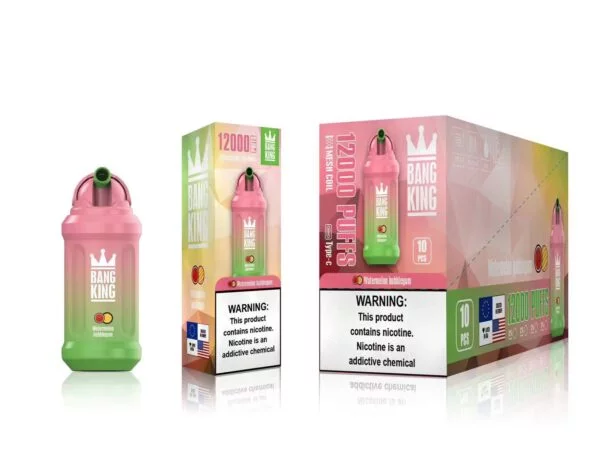 Bang King 12000 Puffs 0% 2% 3% 5% Nikotin újratölthető eldobható Vape nagykereskedés - ClueVape - 19